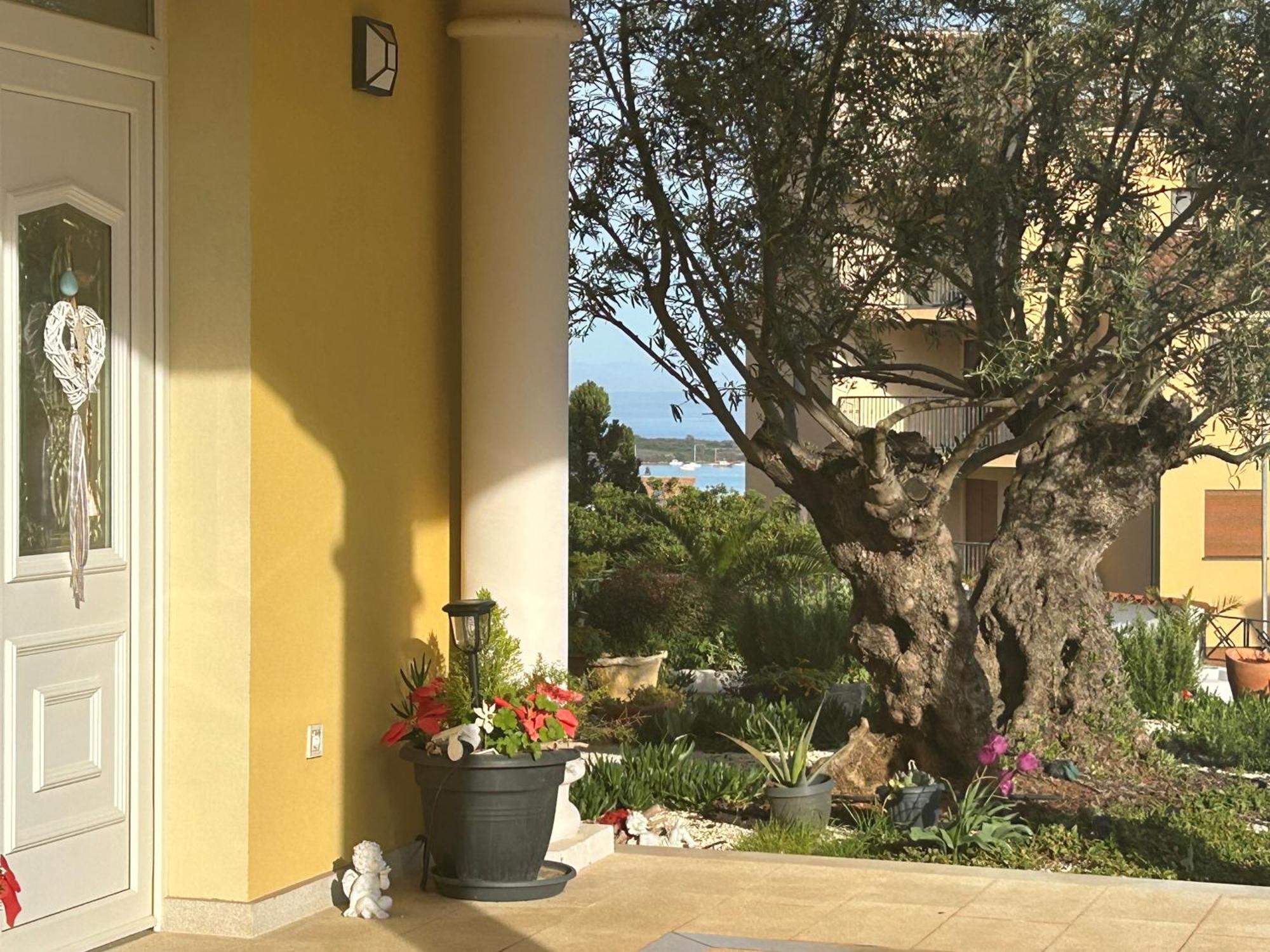 Villa Istriana Ližnjan Exteriér fotografie
